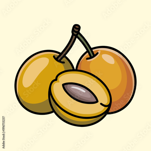 Burmese Plum Vector Illustration of Tropical Marian Plum with Whole Fruits and Sliced Section