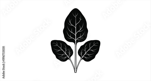 Solid black silhouette illustration of a three-leaf spinach sprig with detailed white vein patterns isolated on a white background for organic food design.