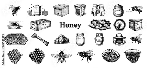 Large collection of beekeeping honey production and bumblebee icons in detailed engraving style