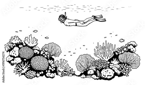Snorkeler swimming underwater over a beautiful coral reef with sea life sketch