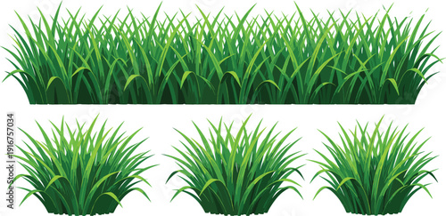 Green grass border and tufts collection isolated on white background for nature landscape vector design.