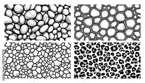 Set of organic natural textures including stones cells and animal spots in engraving style