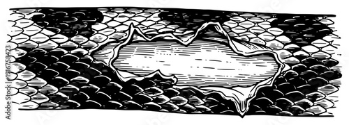 Ripped reptile skin texture showing torn snake scales and hole