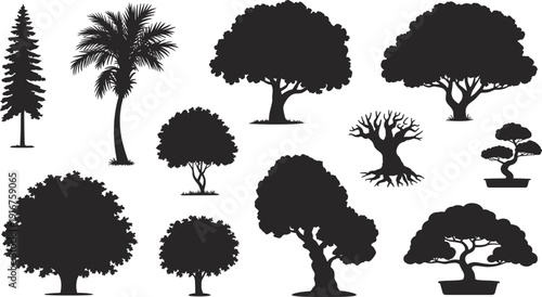Tree, silhouettes, collection, black, nature, forest, botanical, foliage, isolated, white, background, icons, vector, minimal, flat, design, graphic, set, bundle, illustration