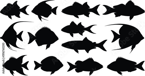 Collection of black fish silhouettes isolated on white background with various tropical species, sea life icons, and underwater aquatic animal shapes.