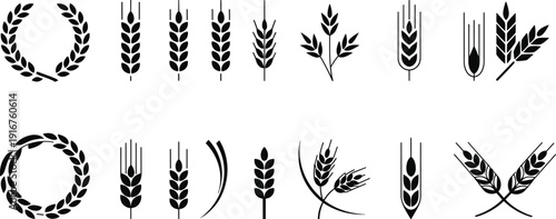 Wheat silhouettes grain cereal agriculture harvest botanical crop black vector illustration set collection isolated design