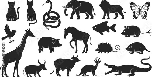 Animal, silhouettes, collection, black, wildlife, zoo, safari, nature, icons, vector, minimal, flat, design, isolated, white, background, set, bundle, graphic, illustration