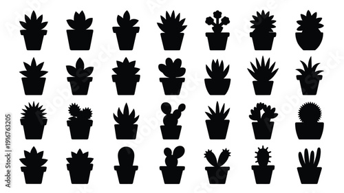 Collection of 30 different succulent and cactus silhouettes in pots on white background for design and decoration