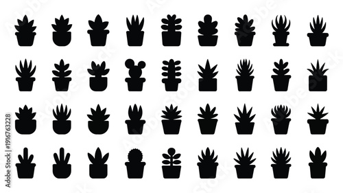 Collection of 30 different succulent and cactus silhouettes in black pots on white background for design and decoration