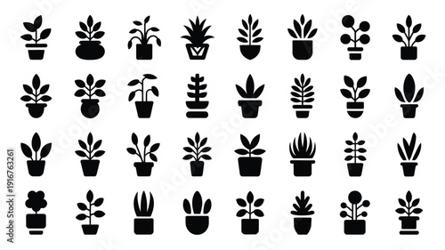 Collection of 36 indoor potted plant silhouettes in black on white background for decoration and design