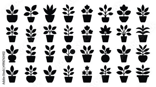 Collection of decorative indoor plant silhouettes on white background for design and decoration