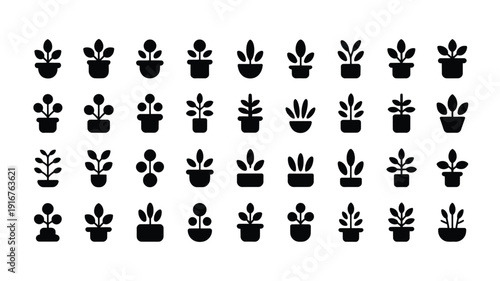 Collection of small indoor plant silhouettes in black on white background for design and decoration