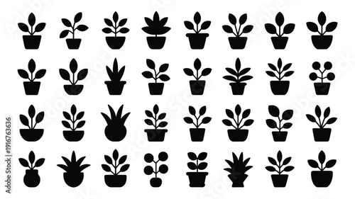 Collection of various small indoor plant silhouettes in pots on white background for decoration and design
