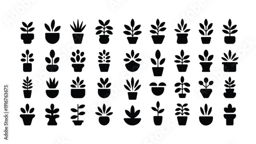 Collection of decorative indoor plant silhouettes in black pots on white background for design and decoration