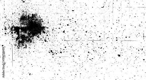 Abstract white and black grunge dust particle and dust grain texture. White and black ink splatter grunge dust particle and dust grain texture. 