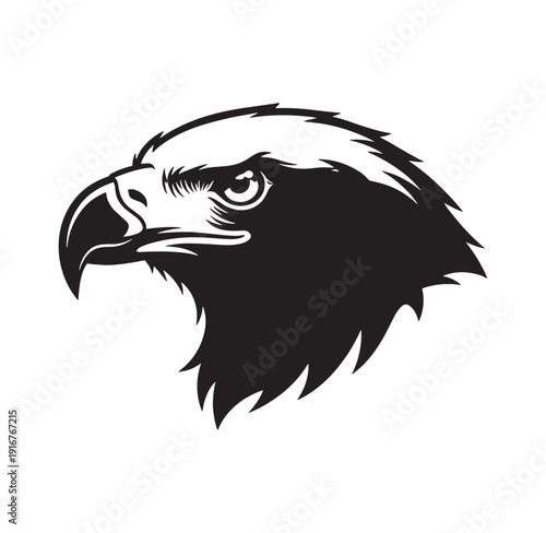 black and white eagle head illustration with sharp beak and feathers profile view