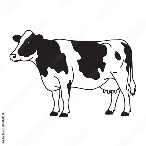 A black and white dairy cow standing in a rural pasture with horns and udder visible.