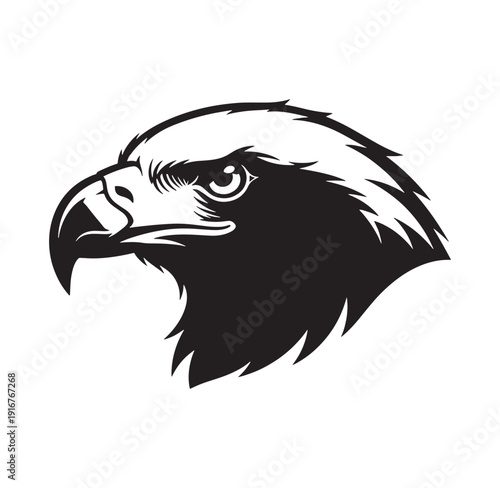 black and white eagle head profile view with sharp beak and feathers  closeup