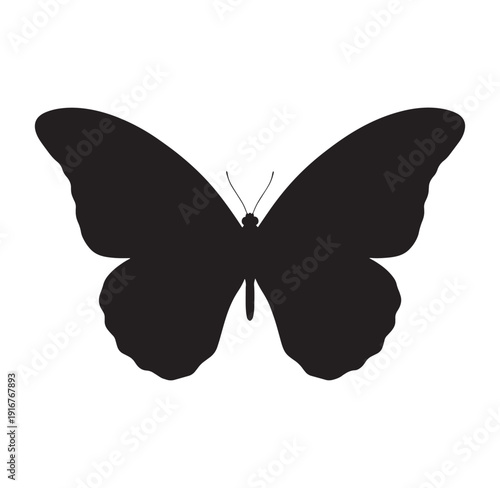 black butterfly silhouette with spread wings on white background
