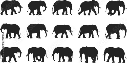 Elephant, silhouettes, set, collection, black, wildlife, animal, isolated, white, background, mammal, safari, icons, vector, minimal, flat, design, graphic, bundle, illustration
