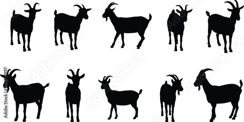 Goat silhouettes horned livestock farm animals rural agriculture vector illustration set collection black design