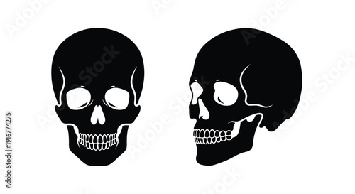 Two human skulls depicted in stark black silhouette