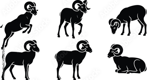 Black vector silhouette set of mountain rams and bighorn sheep in diverse poses for wilderness nature wildlife conservation hunting sports and alpine animal branding
