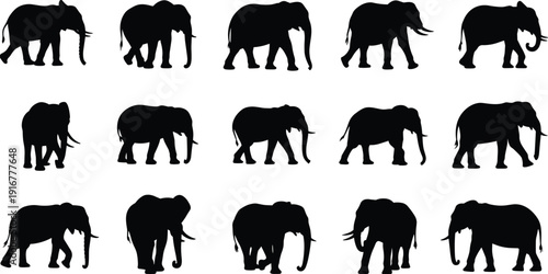 Elephant, silhouettes, collection, black, wildlife, animal, isolated, white, background, mammal, safari, icons, vector, minimal, flat, design, graphic, set, bundle, illustration