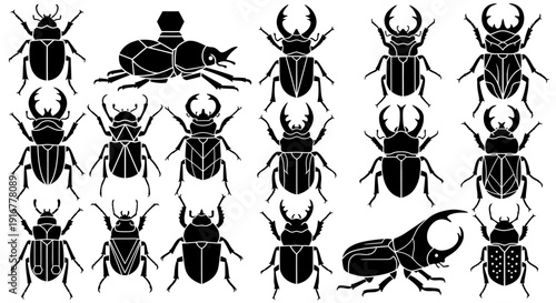 Collection of various beetle illustrations displayed in a grid pattern on a clean background