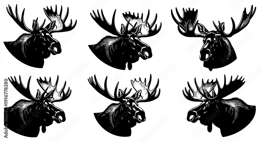 Fototapeta Collection of moose head silhouettes with large antlers in various orientations, vector illustration, monochrome, wildlife, animal art