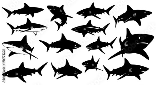 Collection of various shark silhouettes in different poses and sizes, showcasing diverse marine life