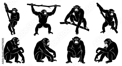 Monkeys in various poses and actions, showcasing different behaviors and emotions in a simple illustration style