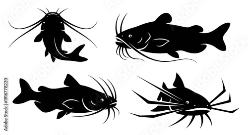 Silhouette illustrations of catfish in various poses and angles, showcasing their unique features and details from different viewpoints