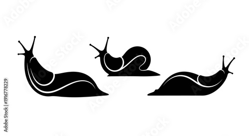 Illustration of snails moving slowly on a surface from different viewpoints in a simple graphic style