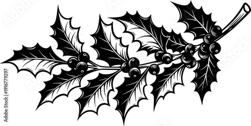 Stylized Holly Leaf Branch with Berries Silhouette for Winter Holiday Decorative Borders

