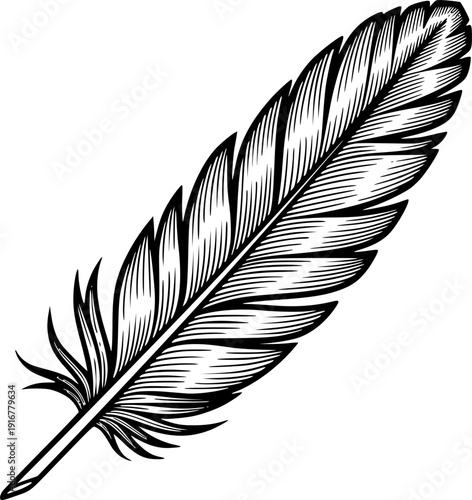 feather silhouette line art vector illustration with a white background
