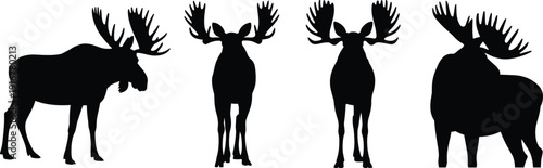 Moose, silhouette, antlers, wildlife, forest, nature, animal, hunting, outdoors, wilderness, illustration, design, graphic, mammal, art, shadow, profile, creature, fauna, icon, figure