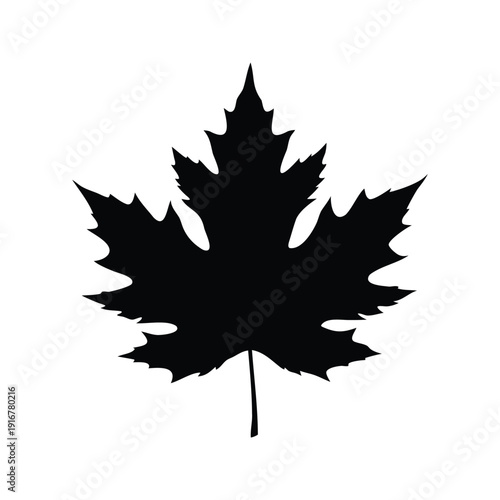 cedar leaf silhouette vector illustration, Silhouette of a maple leaf with intricate details, perfect for canadian themed silhouette vector illustration