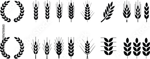 Wheat silhouettes grain cereal agriculture harvest botanical black vector illustration set collection isolated design