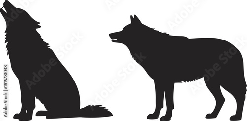 wolf, howling, silhouette, animal, wildlife, nature, forest, predator, canine, wild, pack, communication, howl, standing, sitting, interaction, vocalizing, mammal, wilderness, symbolic, night