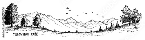 Yellowstone national park mountain landscape forest and wildlife scene