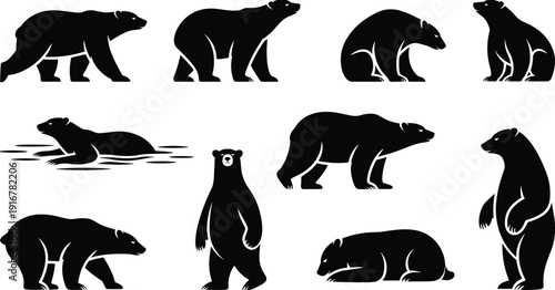 Bear silhouettes wildlife animal forest predator black vector illustration set collection standing walking isolated design