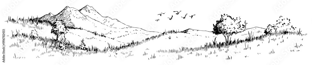 Obraz premium Mountain meadow landscape with trees and birds hand-drawn nature scene