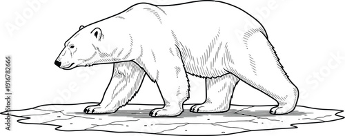 Majestic polar bear standing on melting ice in a powerful stance