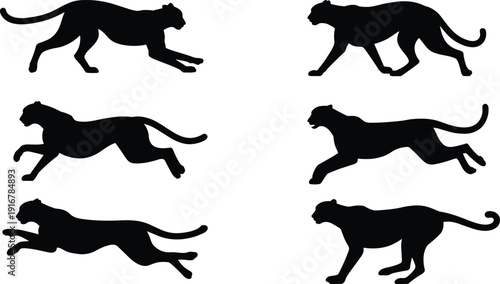 cheetah, run, sprint, speed, silhouette, animal, wildlife, predator, fast, stride, motion, sequence, dynamic, mammal, hunt, chase, movement, posture, flexibility, biomechanics, artwork