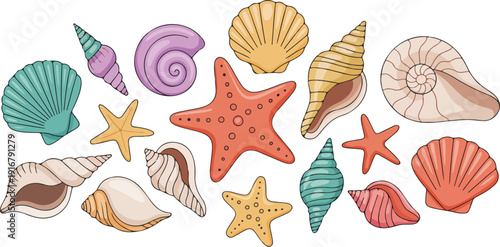 Marine life elements set beautiful seashells and starfish collection.