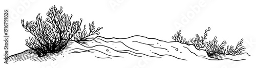 Desert sand dunes with dry bushes sketch