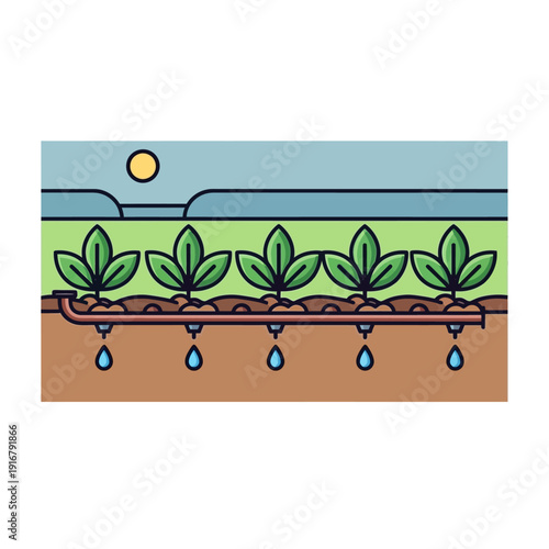 Plants Growing in Soil with Water.