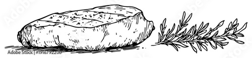 Steak with herbs hand drawn illustration