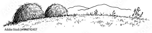 Hillside with haystacks rural landscape drawing
